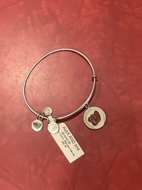 NWT Alex and Ani Washington Nationals Baseball Bracelet